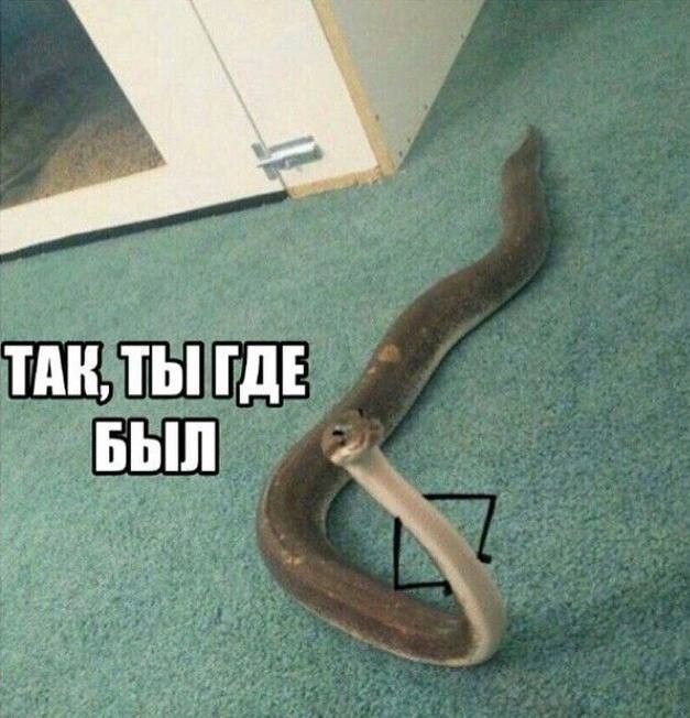 Картинки с надписями 27.11.22