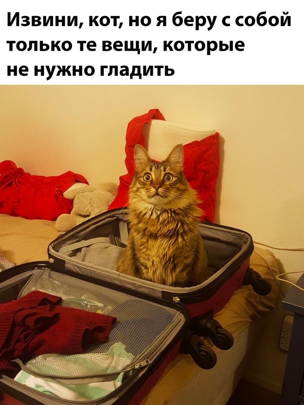 Картинки и мемы для настроения - 133