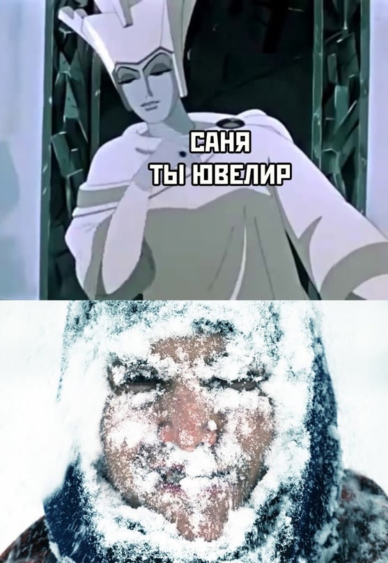 Твитота