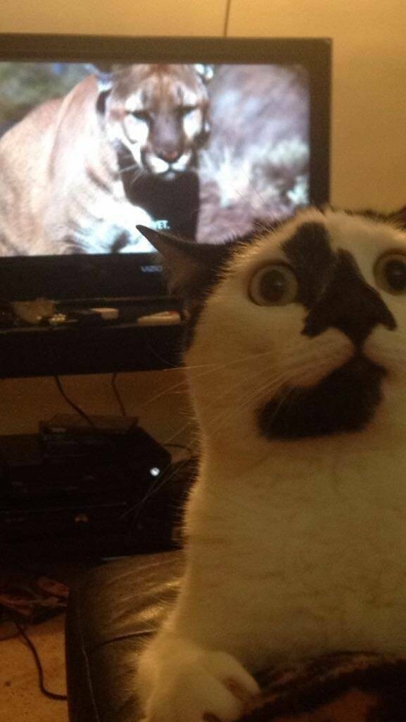 Подборка интересных и прикольных фото из Сети 08.01.23