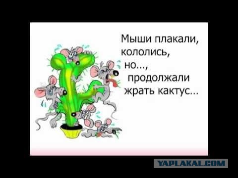 «Это же мошенничество в чистом виде!» Екатеринбуржцы устроили спор с Wildberries из-за бракованного товара