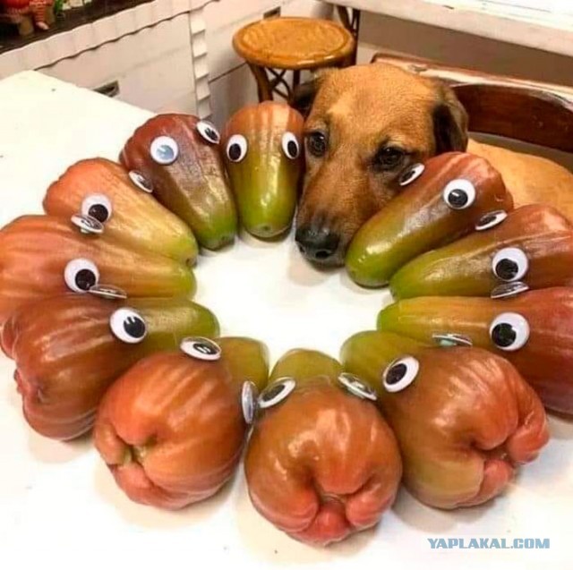 Необычные картинки