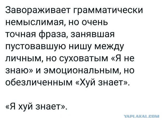 Забавные комментарии из социальных сетей (06.03.23)