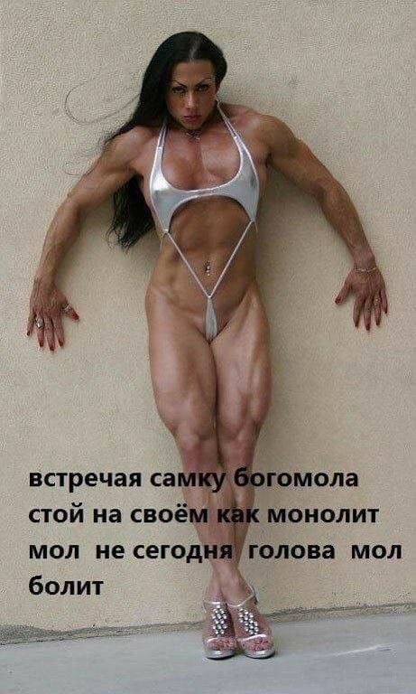 Фотосмесь 28.08.23