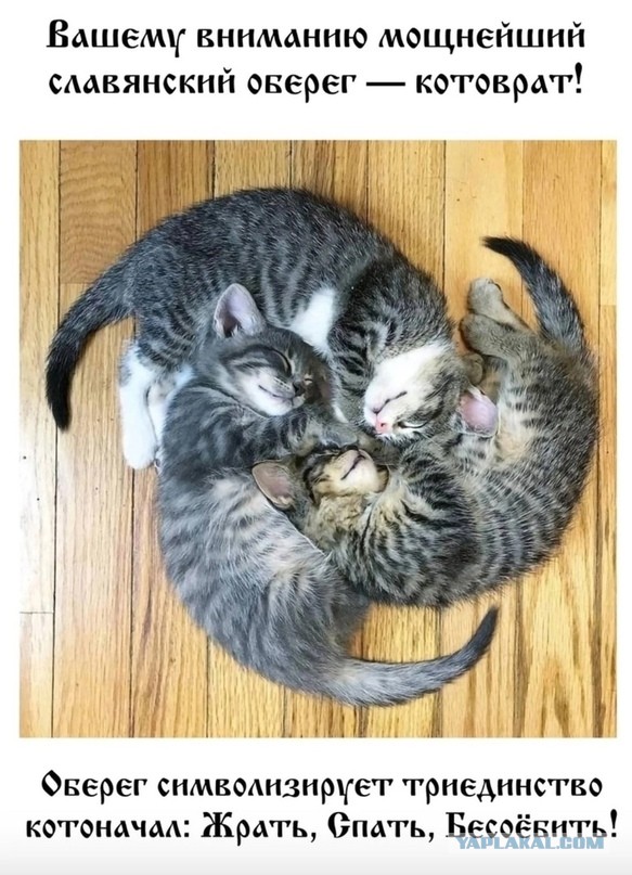 Мои отношения с ЯПом!