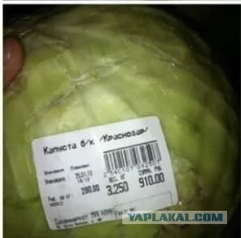 Якутянка рассказала в какую сумму обошелся гараж
