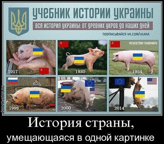 В Казани трезвых ветеранов СВО не пускают в рестораны/клубы из-за военной формы