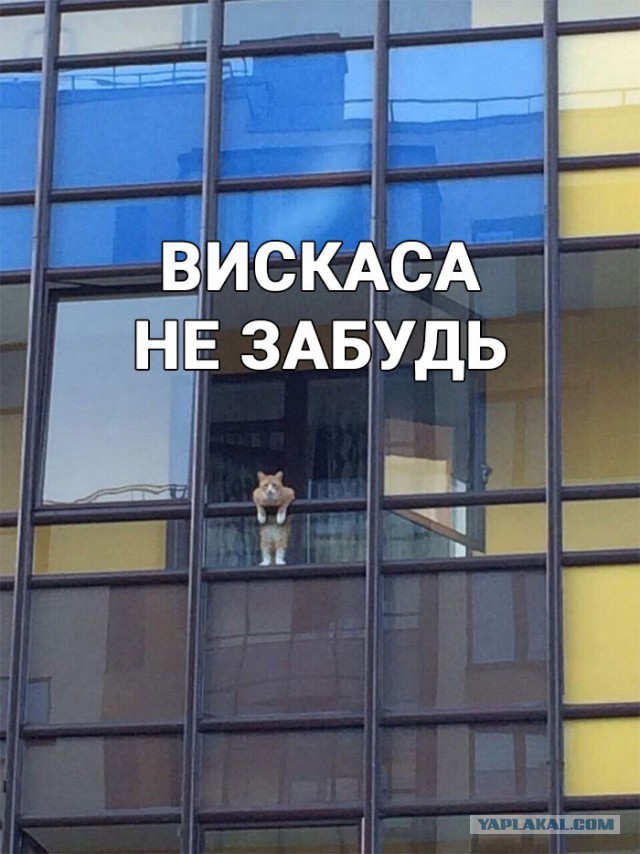 Замуровали демоны