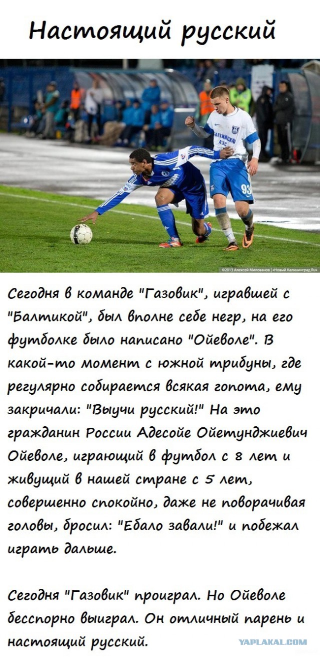 Негр про "негр"