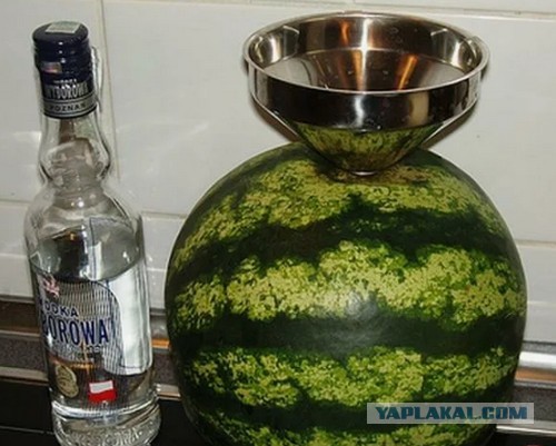 Маринованный арбуз