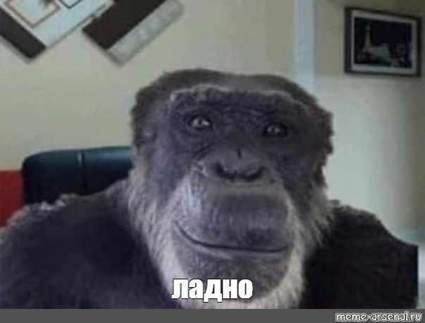 Каких мужчин не любят женщины и почему