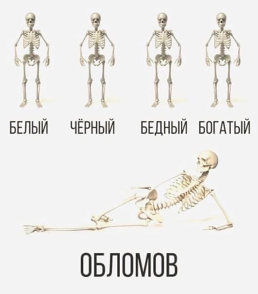 Уморные пикчи 07.06.24