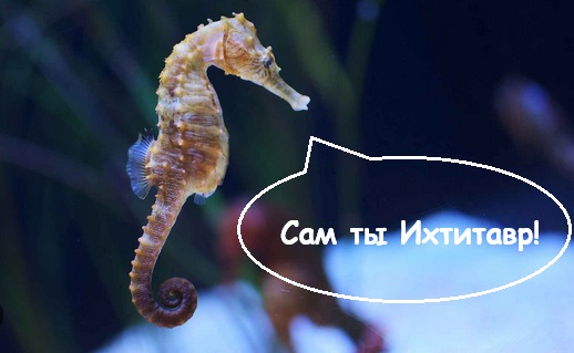 «Судный день» близко. Австралийские рыбаки поймали сельдяного короля.