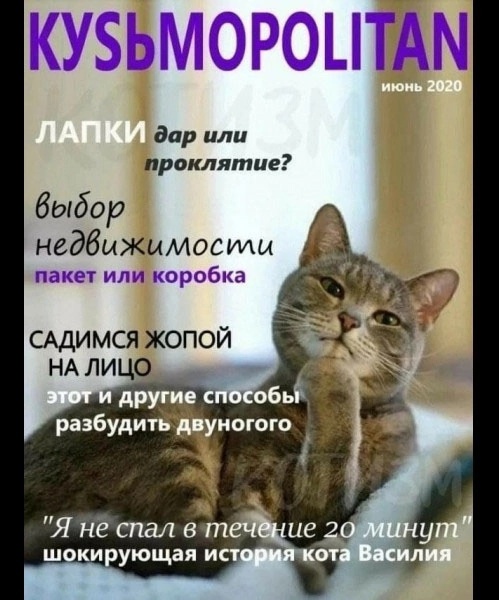 Так себе картинки 27.11.24