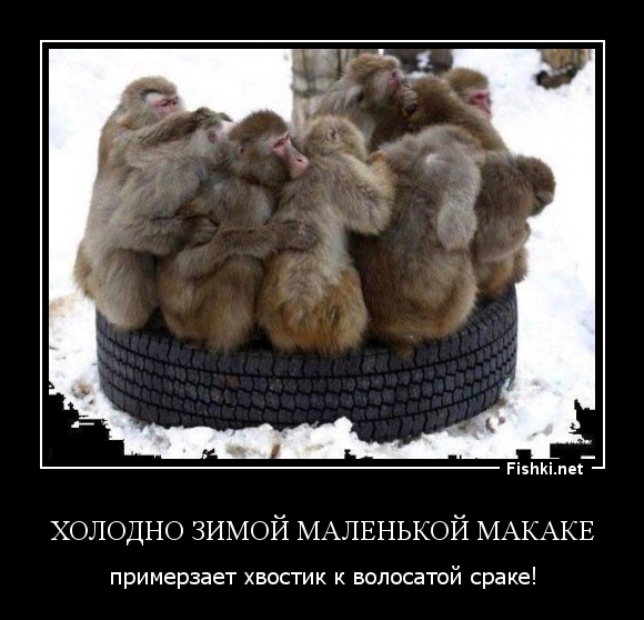 Россия полностью приостановила финансирование Абхазии
