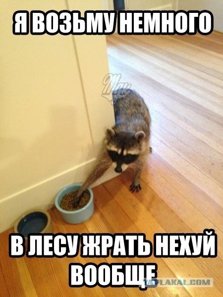 Мне то оставь!