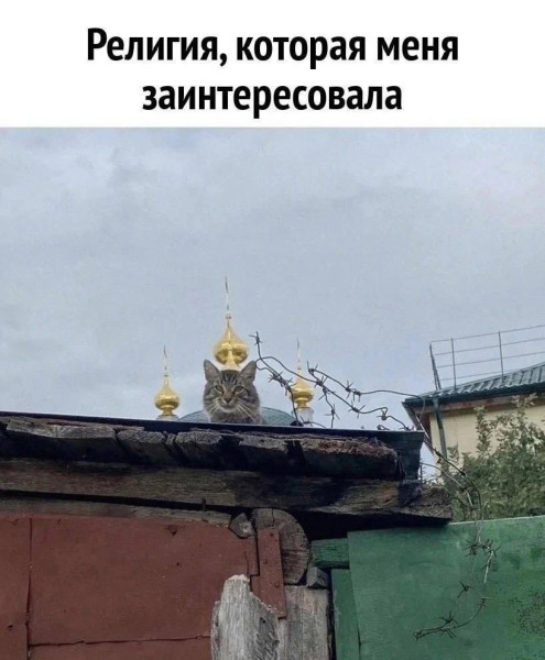 Слава Богу - я атеист 24