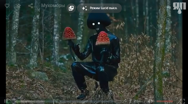 Посмотрите новый клип, коллеги.
