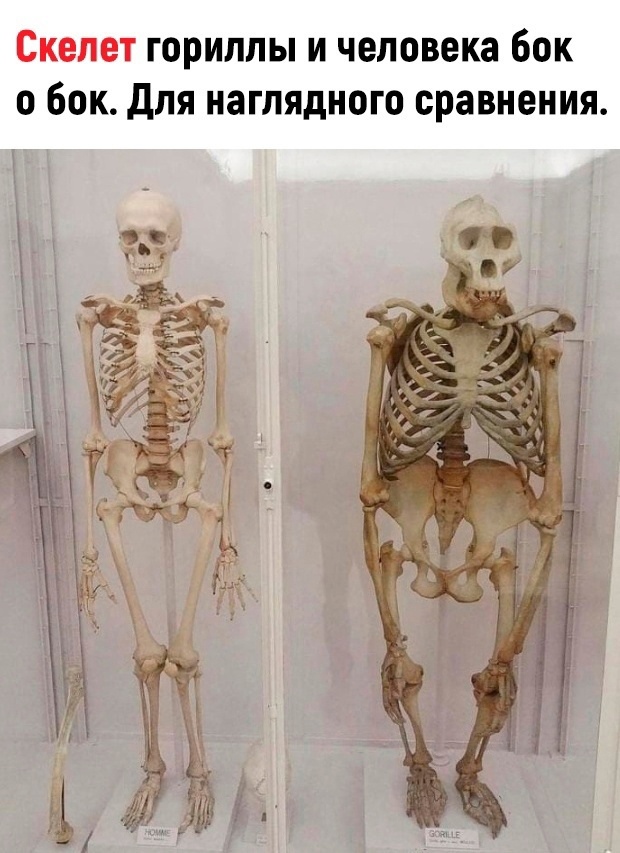 Хочу секса на стороне, но я замужем...