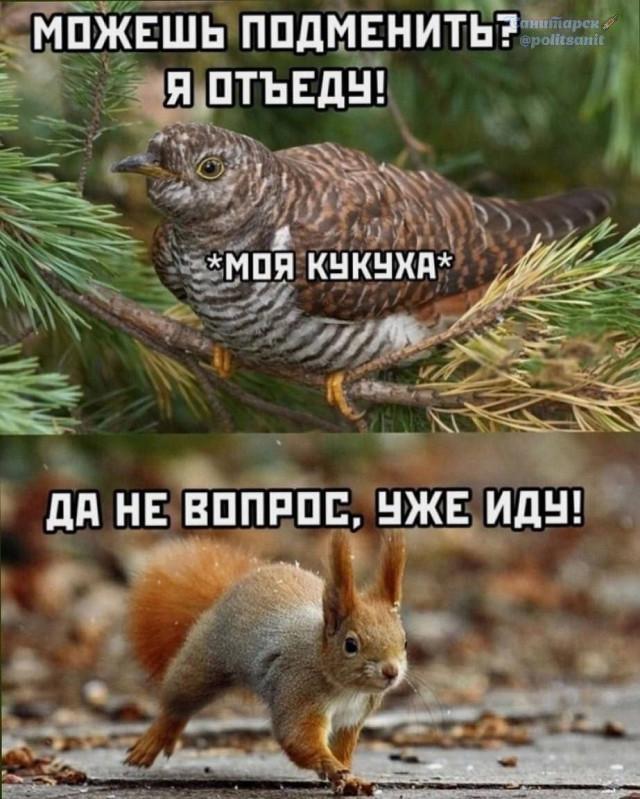 Картинки для деградации 62 (разной степени свежести)
