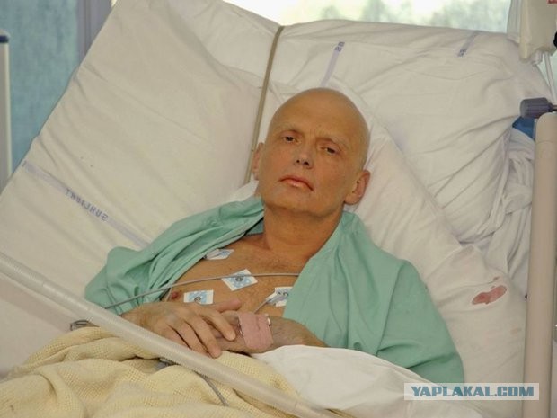 Зачем учёный ел уран?