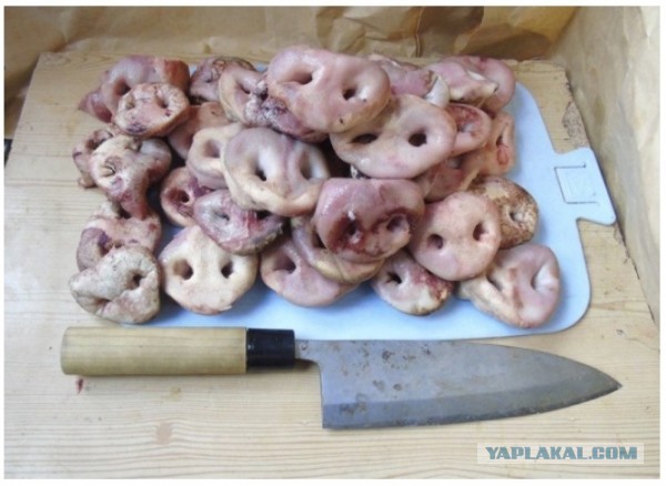 Двух заместителей "Флота РТ" арестовали по подозрению в получении взятки свыше миллиона рублей.