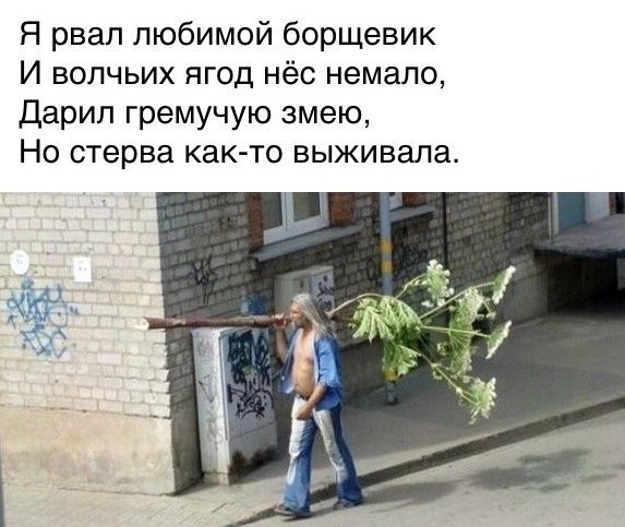 Прикольные и просто красивые картинки 03.04.2026