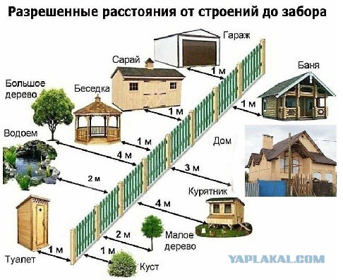 Вот такой сосед