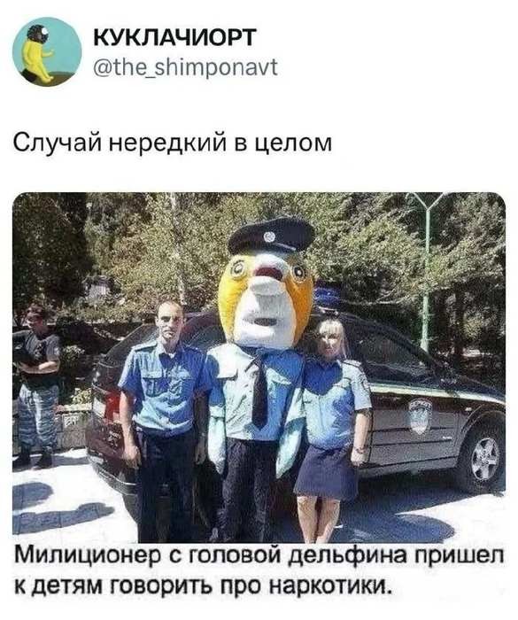 Картинки для деградации 260 (разной степени свежести)