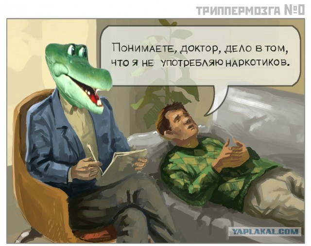 Все любят котиков!