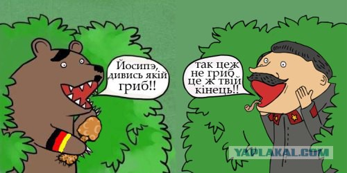 Медведи почти на все случаи жизни