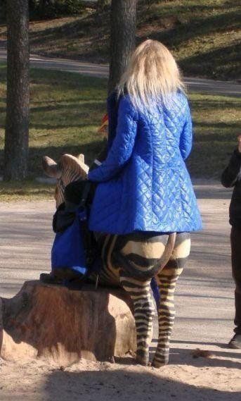 Смешные картинки и комментарии