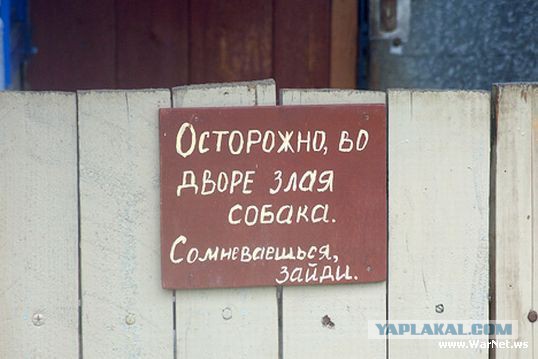 Смешное из сети #2