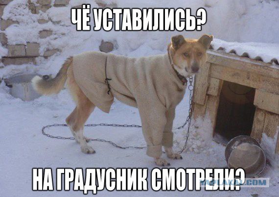 Картинки и юмор