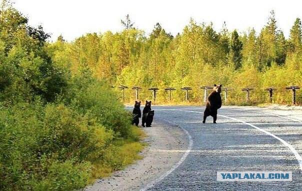 Это вам не капчу с первого раза ввести!