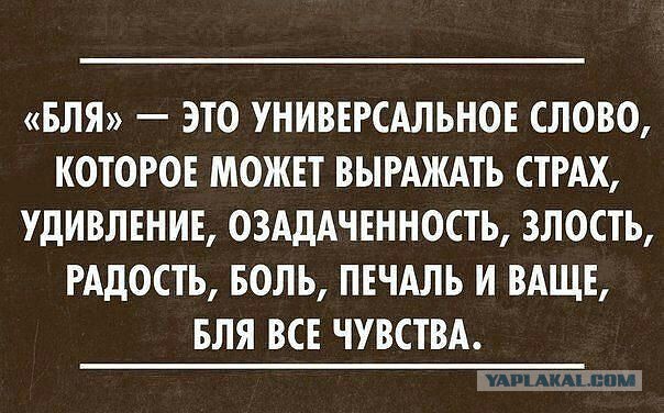 Коллекция картинок