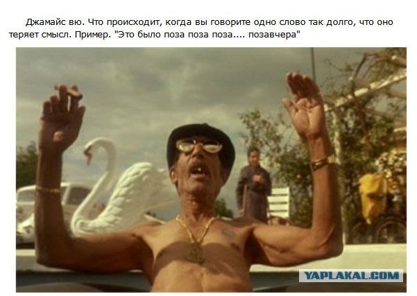 промежуток между влагалищем и анусом промежуток между влагалищем и анусом