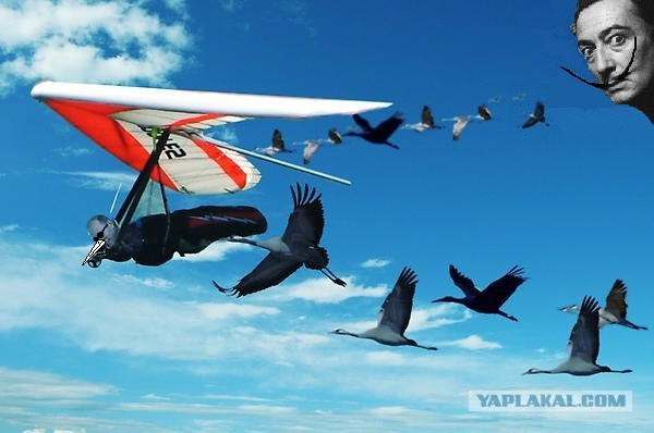 Путин с клювом в халате возглавил журавлиный клин