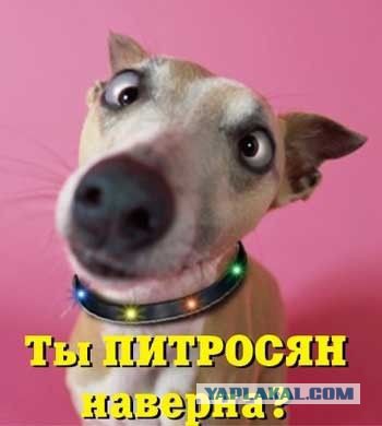 По ночам сбегает жена: что делать?