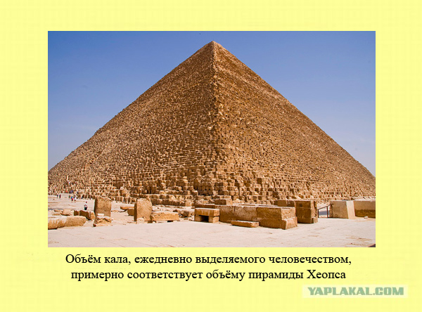 Информация в картинках