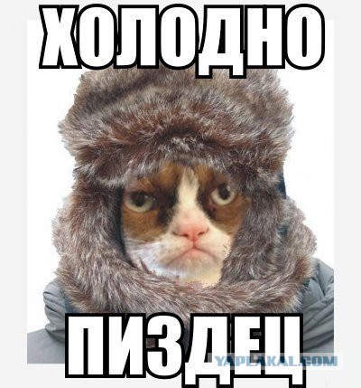 Тайцы спасаются от смертельного холода