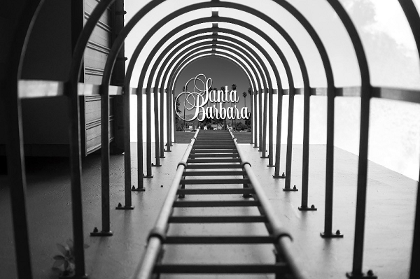 Nikon пришлось извиняться за награждение автора отфотошопленного снимка