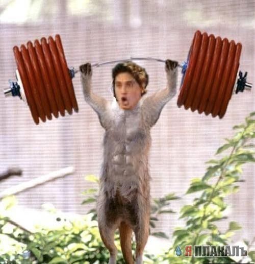 Фотожаба: Дима Билан