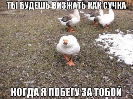 Злые шутки или минутка сарказма на ЯП-е, 16+