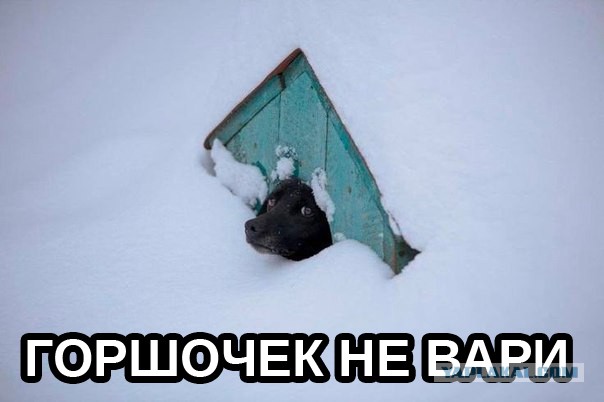 Подборка идиотских фотографий часть 3