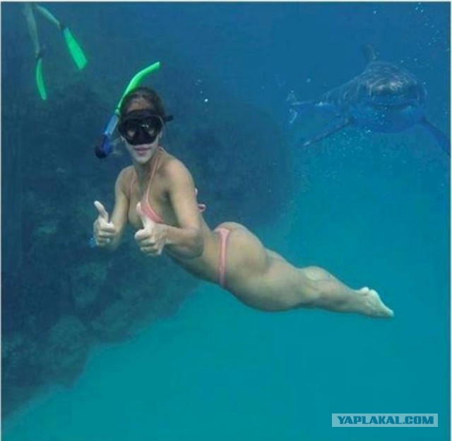 Интересные и веселые картинки