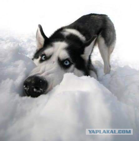 Парикмахерская