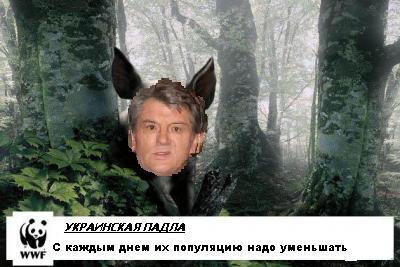 ХРЮШКИ. Уголок Пятачка, кабаны, свиньи