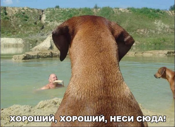 Подборка приколов