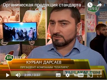 Бизнесвумен, напавшая на активистов "СтопХам" в Москве, рассказала о произошедшем